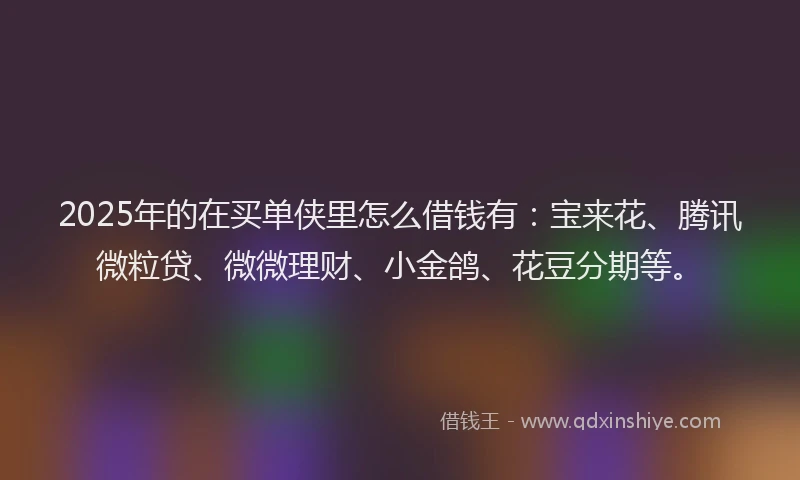 2025年的在买单侠里怎么借钱有：宝来花、腾讯微粒贷、微微理财、小金鸽、花豆分期等。