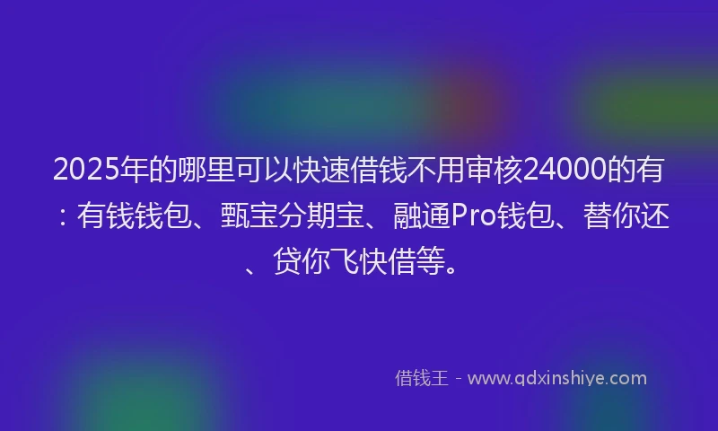 2025年的哪里可以快速借钱不用审核24000的有：有钱钱包、甄宝分期宝、融通Pro钱包、替你还、贷你飞快借等。