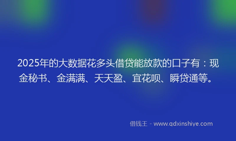 2025年的大数据花多头借贷能放款的口子有：现金秘书、金满满、天天盈、宜花呗、瞬贷通等。