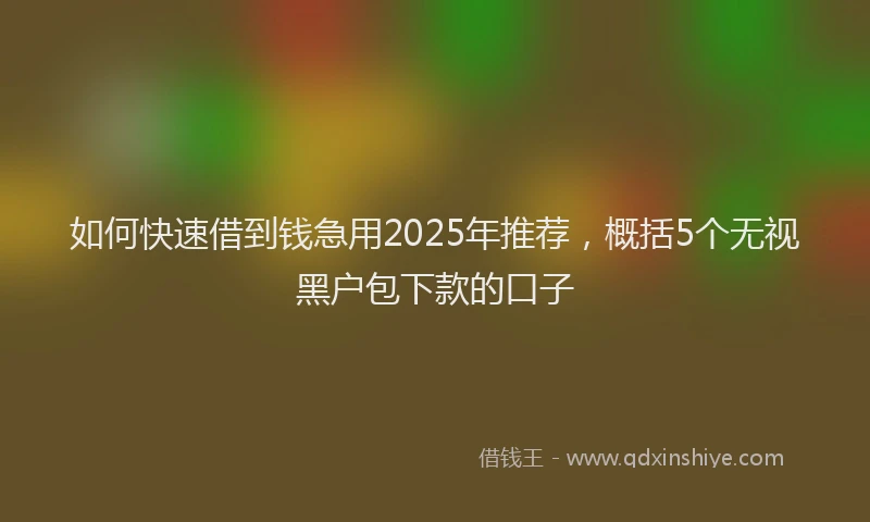 如何快速借到钱急用2025年推荐，概括5个无视黑户包下款的口子