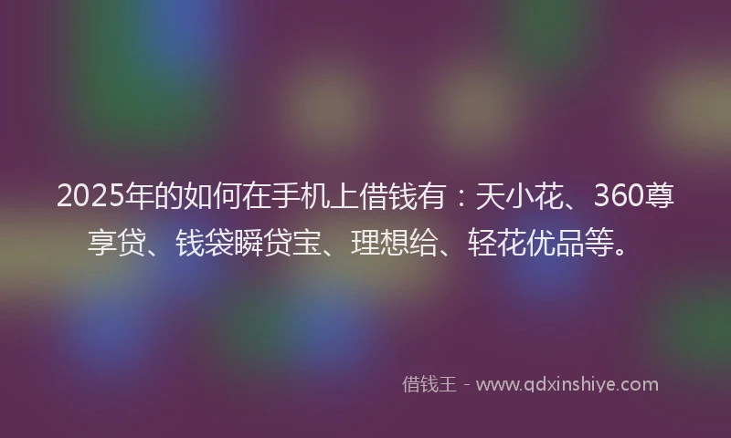 2025年的如何在手机上借钱有：天小花、360尊享贷、钱袋瞬贷宝、理想给、轻花优品等。