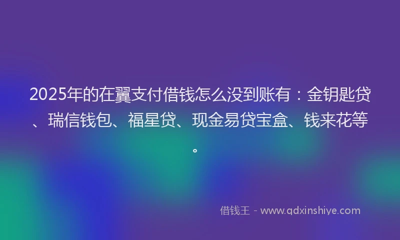 2025年的在翼支付借钱怎么没到账有：金钥匙贷、瑞信钱包、福星贷、现金易贷宝盒、钱来花等。