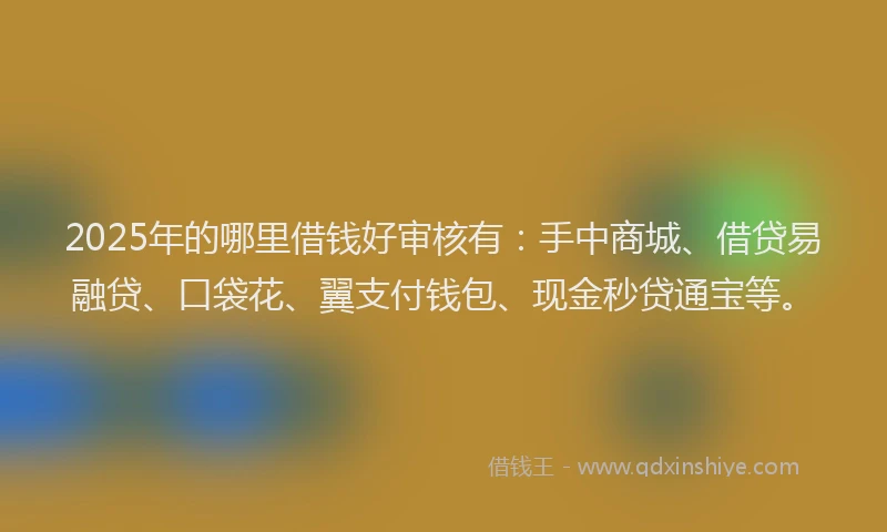 2025年的哪里借钱好审核有：手中商城、借贷易融贷、口袋花、翼支付钱包、现金秒贷通宝等。