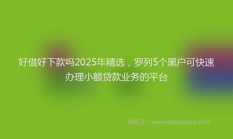 好借好下款吗2025年精选，罗列5个黑户可快速办理小额贷款业务的平台