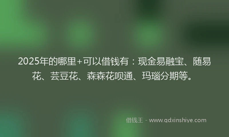 2025年的哪里+可以借钱有：现金易融宝、随易花、芸豆花、森森花呗通、玛瑙分期等。
