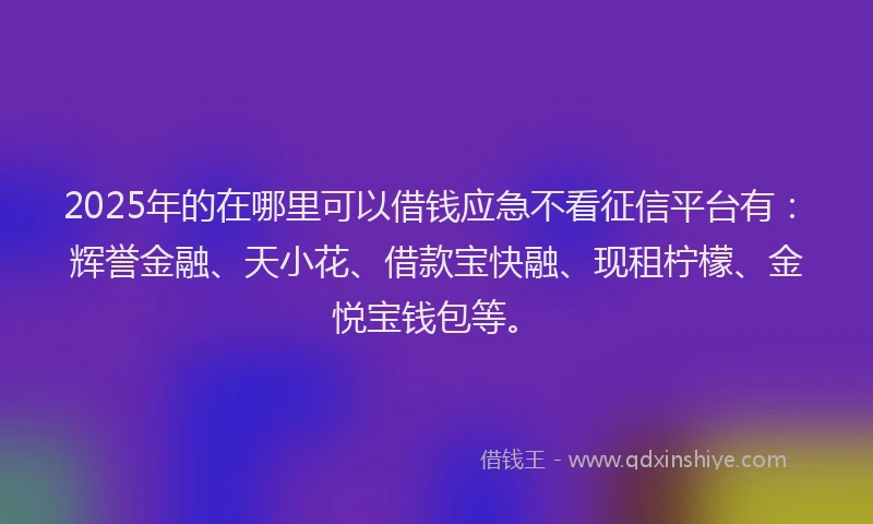 2025年的在哪里可以借钱应急不看征信平台有：辉誉金融、天小花、借款宝快融、现租柠檬、金悦宝钱包等。
