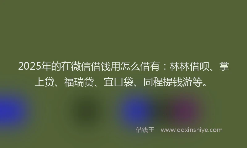 2025年的在微信借钱用怎么借有：林林借呗、掌上贷、福瑞贷、宜口袋、同程提钱游等。