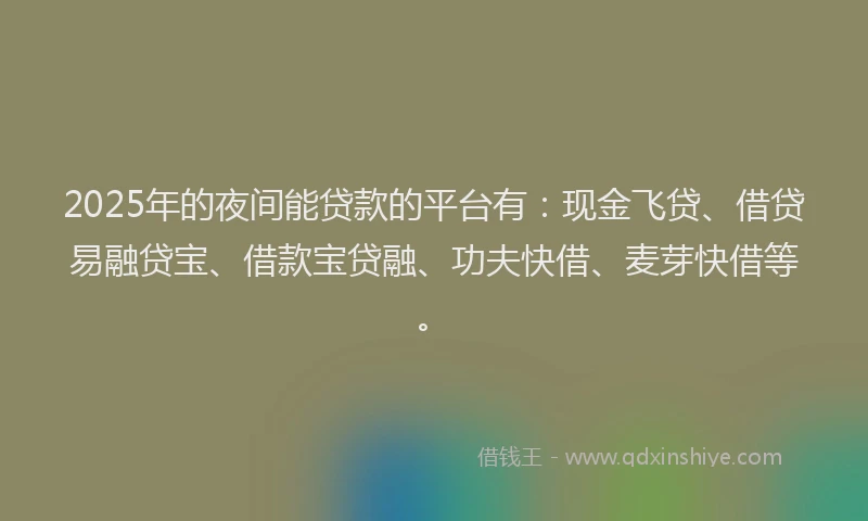 2025年的夜间能贷款的平台有：现金飞贷、借贷易融贷宝、借款宝贷融、功夫快借、麦芽快借等。
