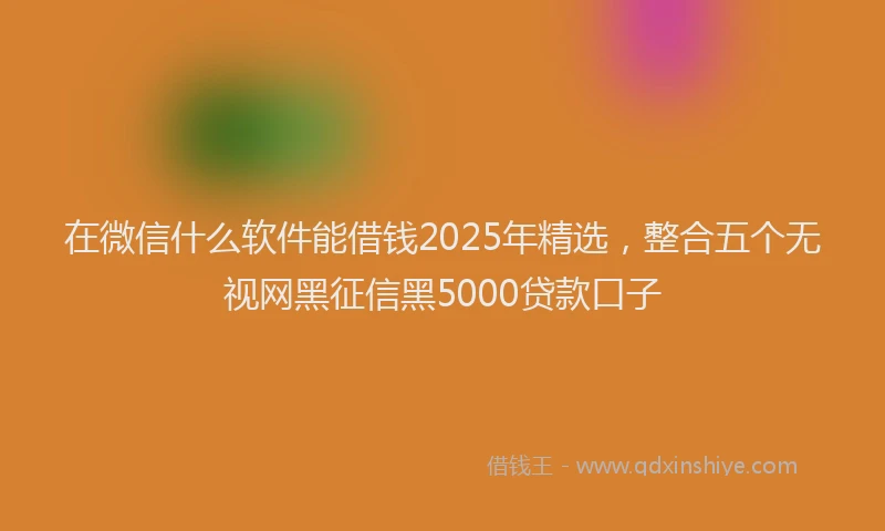 在微信什么软件能借钱2025年精选，整合五个无视网黑征信黑5000贷款口子