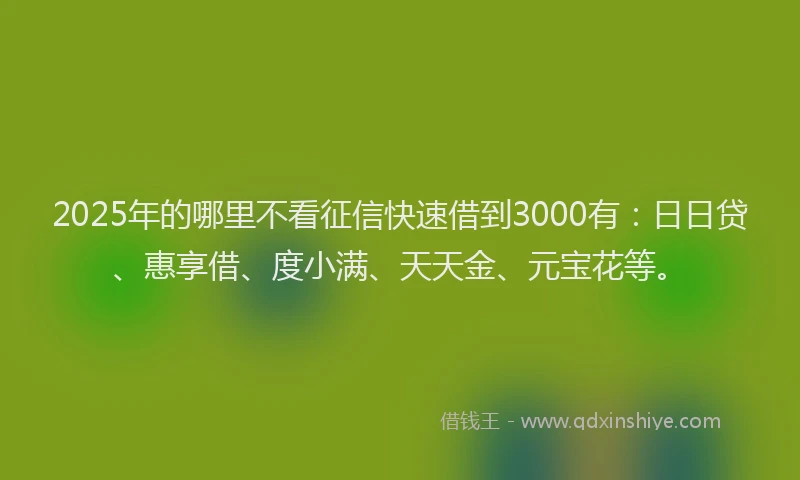 2025年的哪里不看征信快速借到3000有：日日贷、惠享借、度小满、天天金、元宝花等。