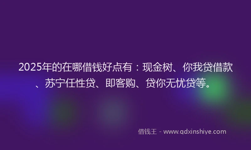 2025年的在哪借钱好点有：现金树、你我贷借款、苏宁任性贷、即客购、贷你无忧贷等。