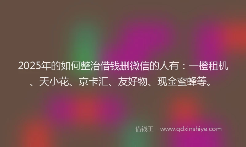 2025年的如何整治借钱删微信的人有：一橙租机、天小花、京卡汇、友好物、现金蜜蜂等。