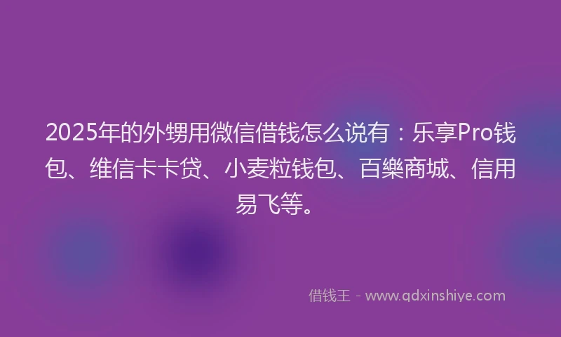 2025年的外甥用微信借钱怎么说有：乐享Pro钱包、维信卡卡贷、小麦粒钱包、百樂商城、信用易飞等。