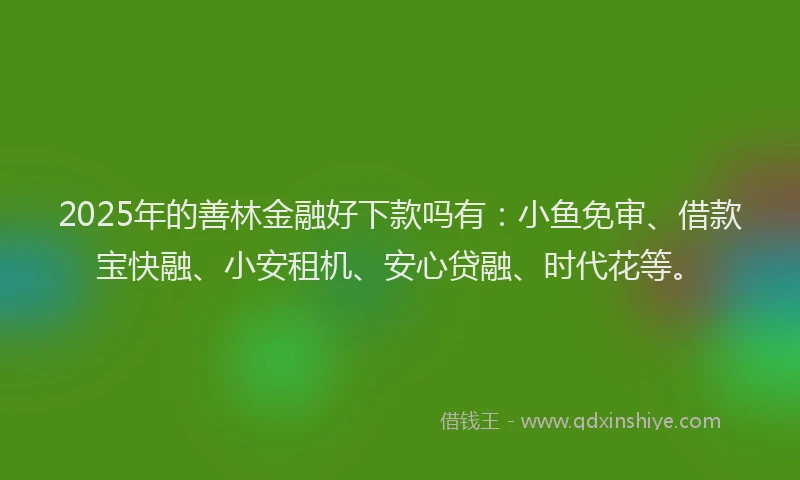 2025年的善林金融好下款吗有：小鱼免审、借款宝快融、小安租机、安心贷融、时代花等。