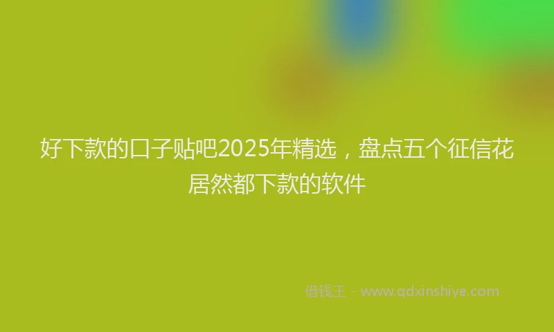 好下款的口子贴吧2025年精选，盘点五个征信花居然都下款的软件