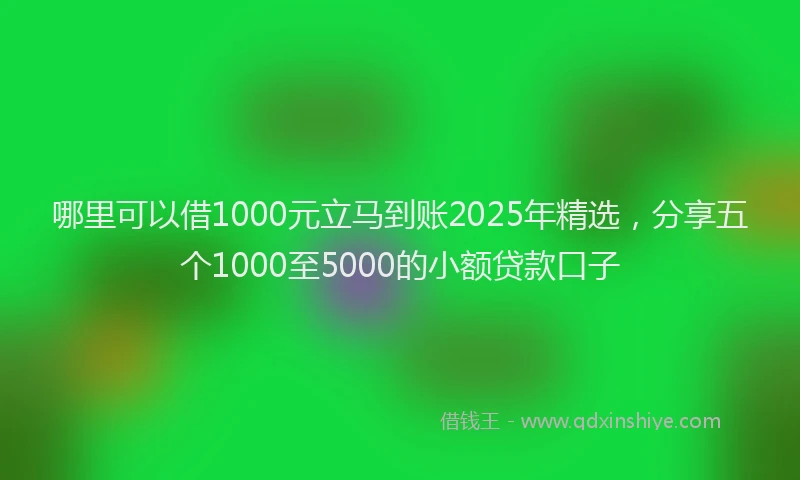 哪里可以借1000元立马到账2025年精选，分享五个1000至5000的小额贷款口子