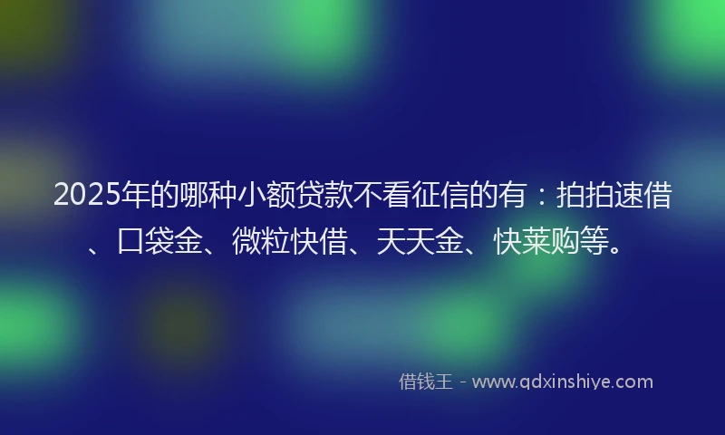 2025年的哪种小额贷款不看征信的有：拍拍速借、口袋金、微粒快借、天天金、快莱购等。