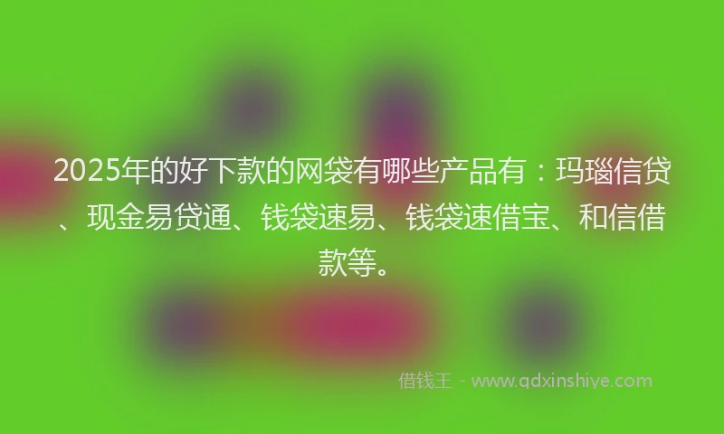 2025年的好下款的网袋有哪些产品有：玛瑙信贷、现金易贷通、钱袋速易、钱袋速借宝、和信借款等。