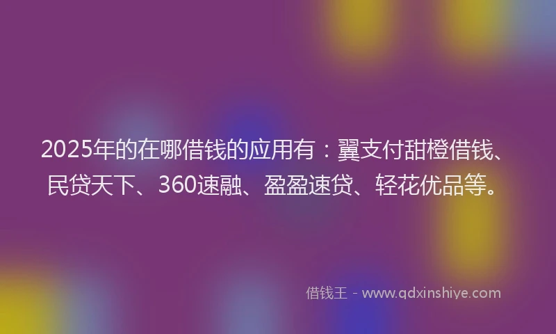 2025年的在哪借钱的应用有：翼支付甜橙借钱、民贷天下、360速融、盈盈速贷、轻花优品等。
