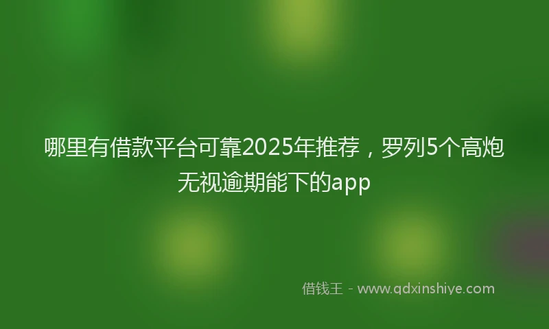 哪里有借款平台可靠2025年推荐，罗列5个高炮无视逾期能下的app