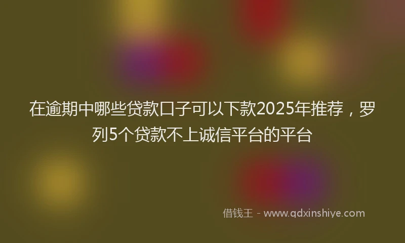 在逾期中哪些贷款口子可以下款2025年推荐，罗列5个贷款不上诚信平台的平台