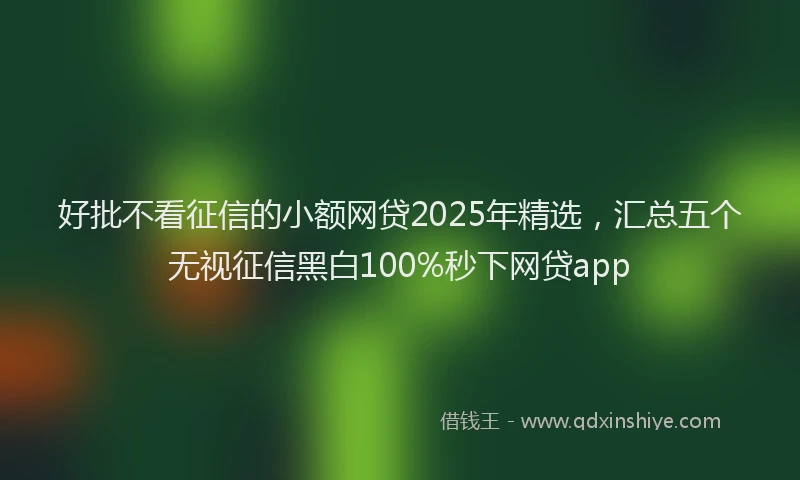 好批不看征信的小额网贷2025年精选，汇总五个无视征信黑白100%秒下网贷app