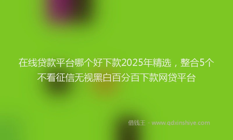 在线贷款平台哪个好下款2025年精选，整合5个不看征信无视黑白百分百下款网贷平台