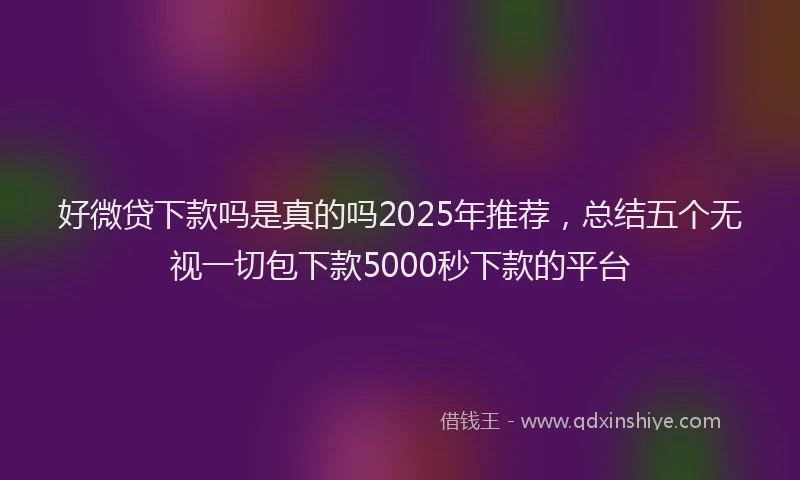 好微贷下款吗是真的吗2025年推荐，总结五个无视一切包下款5000秒下款的平台