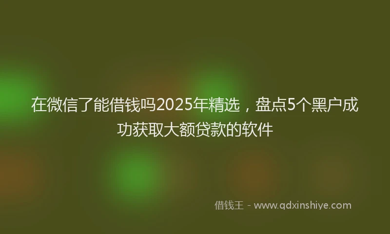 在微信了能借钱吗2025年精选，盘点5个黑户成功获取大额贷款的软件