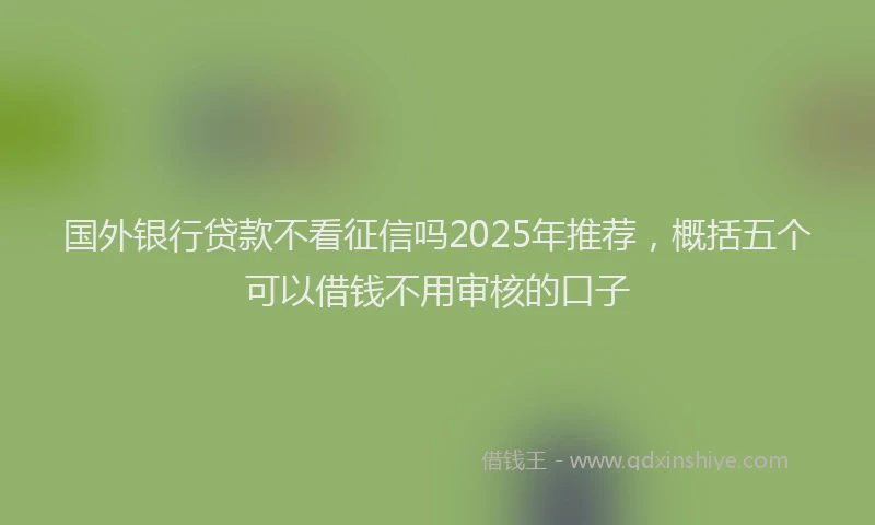 国外银行贷款不看征信吗2025年推荐，概括五个可以借钱不用审核的口子