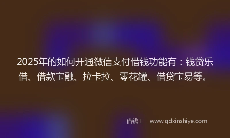 2025年的如何开通微信支付借钱功能有：钱贷乐借、借款宝融、拉卡拉、零花罐、借贷宝易等。