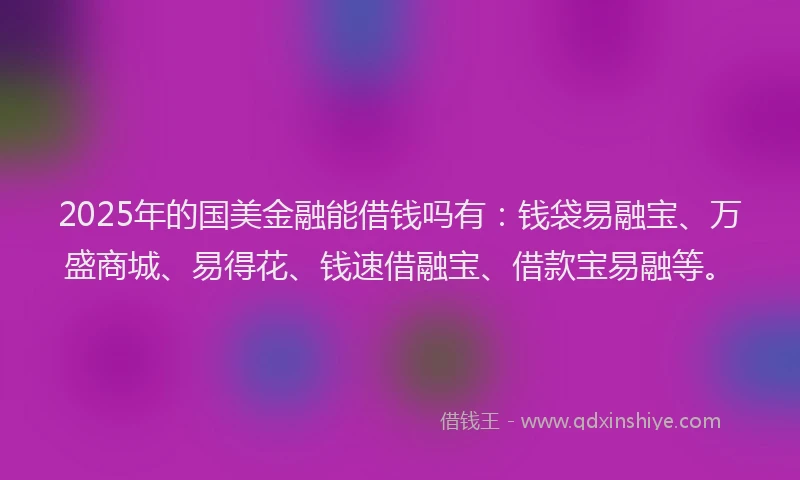 2025年的国美金融能借钱吗有：钱袋易融宝、万盛商城、易得花、钱速借融宝、借款宝易融等。