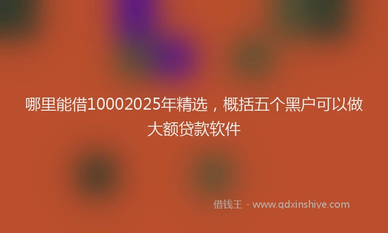 哪里能借10002025年精选，概括五个黑户可以做大额贷款软件