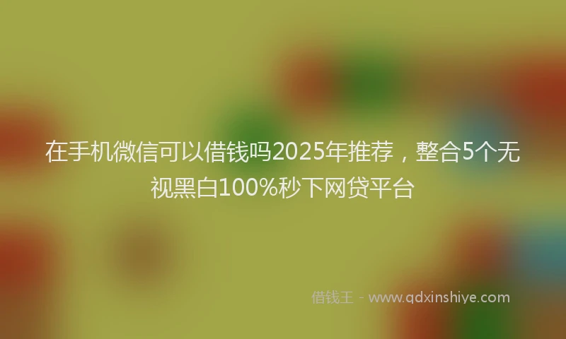 在手机微信可以借钱吗2025年推荐，整合5个无视黑白100%秒下网贷平台