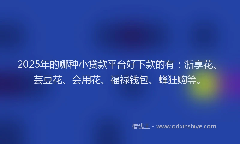 2025年的哪种小贷款平台好下款的有：浙享花、芸豆花、会用花、福禄钱包、蜂狂购等。
