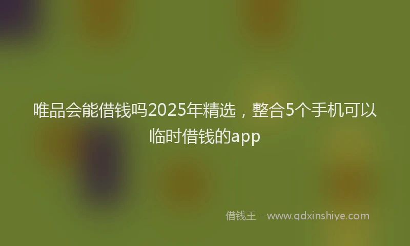 唯品会能借钱吗2025年精选，整合5个手机可以临时借钱的app