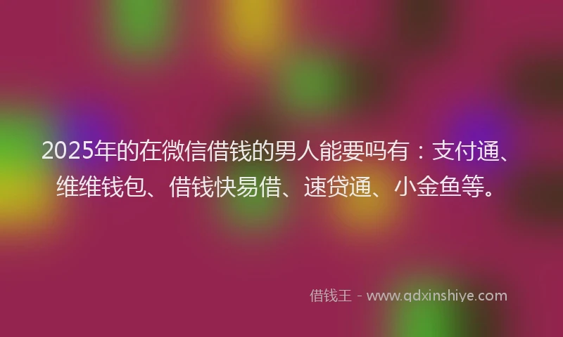 2025年的在微信借钱的男人能要吗有：支付通、维维钱包、借钱快易借、速贷通、小金鱼等。