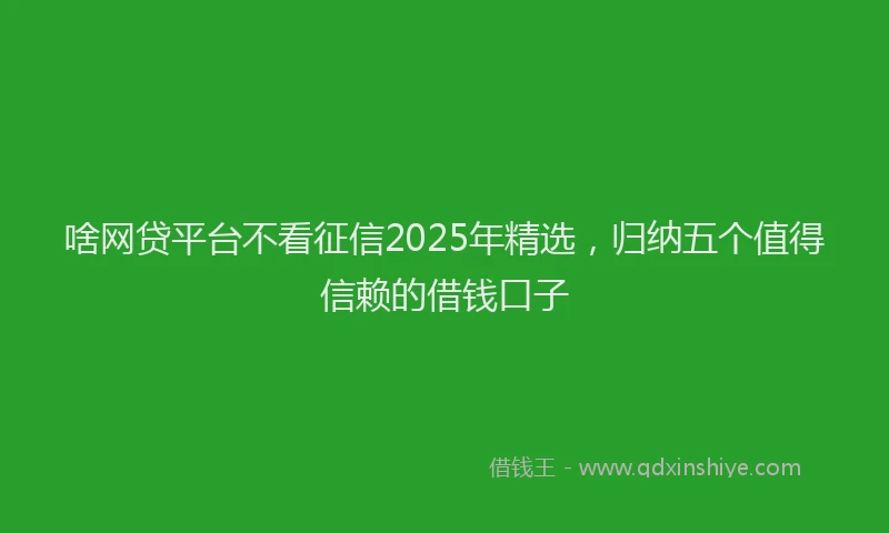 啥网贷平台不看征信2025年精选，归纳五个值得信赖的借钱口子