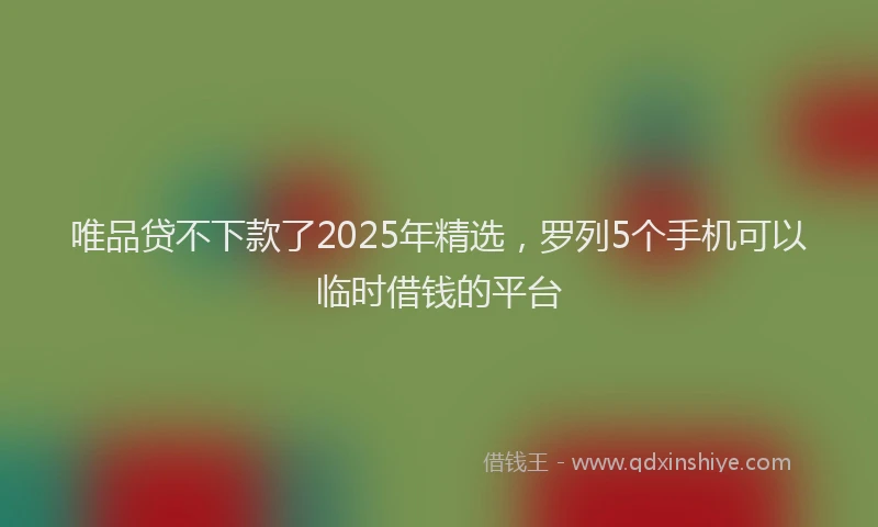 唯品贷不下款了2025年精选，罗列5个手机可以临时借钱的平台