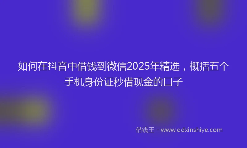 如何在抖音中借钱到微信2025年精选，概括五个手机身份证秒借现金的口子