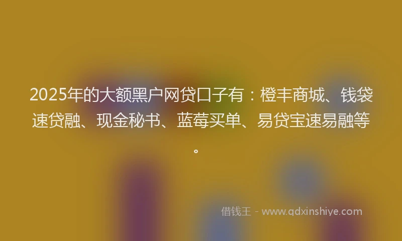2025年的大额黑户网贷口子有：橙丰商城、钱袋速贷融、现金秘书、蓝莓买单、易贷宝速易融等。