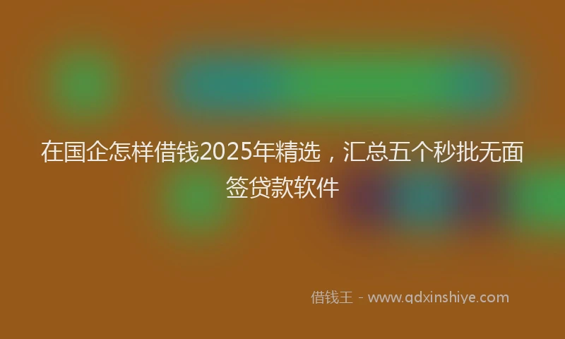 在国企怎样借钱2025年精选，汇总五个秒批无面签贷款软件