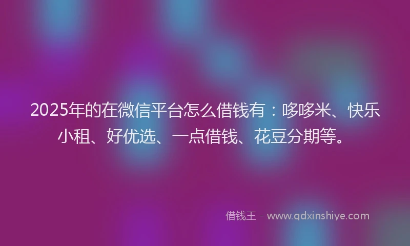2025年的在微信平台怎么借钱有：哆哆米、快乐小租、好优选、一点借钱、花豆分期等。