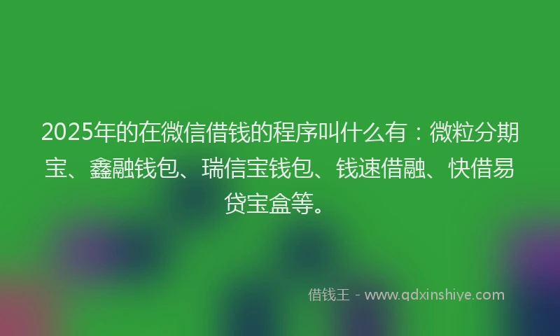 2025年的在微信借钱的程序叫什么有：微粒分期宝、鑫融钱包、瑞信宝钱包、钱速借融、快借易贷宝盒等。