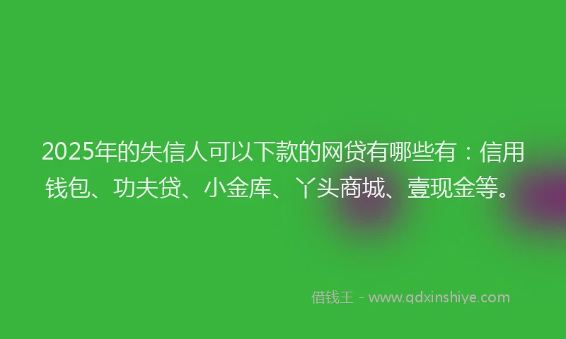 2025年的失信人可以下款的网贷有哪些有：信用钱包、功夫贷、小金库、丫头商城、壹现金等。