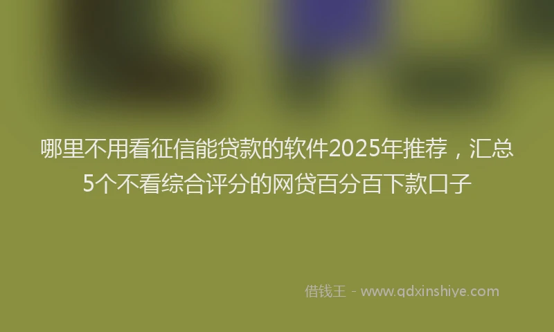哪里不用看征信能贷款的软件2025年推荐，汇总5个不看综合评分的网贷百分百下款口子
