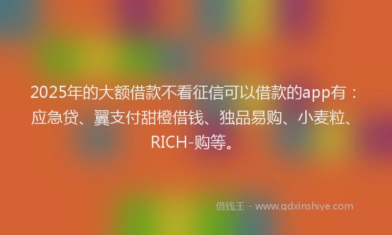 2025年的大额借款不看征信可以借款的app有：应急贷、翼支付甜橙借钱、独品易购、小麦粒、RICH-购等。