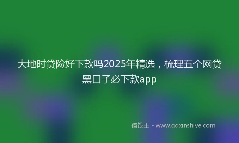 大地时贷险好下款吗2025年精选，梳理五个网贷黑口子必下款app