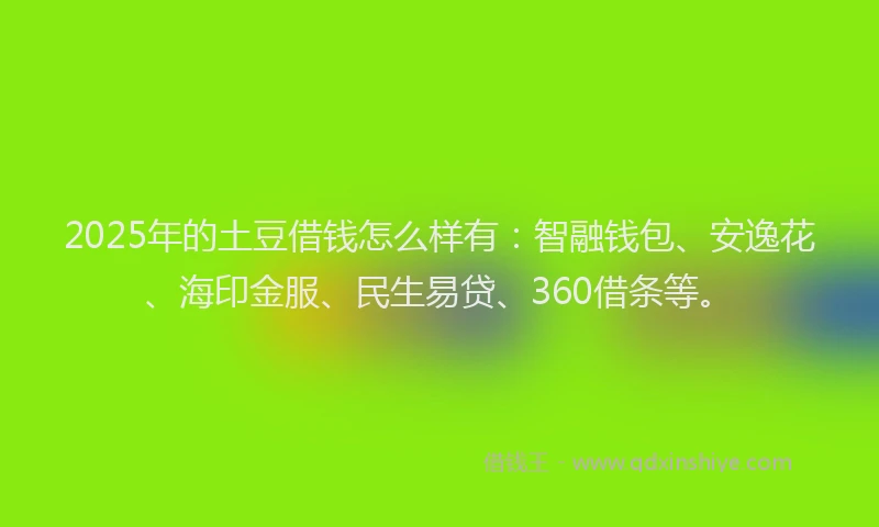 2025年的土豆借钱怎么样有：智融钱包、安逸花、海印金服、民生易贷、360借条等。