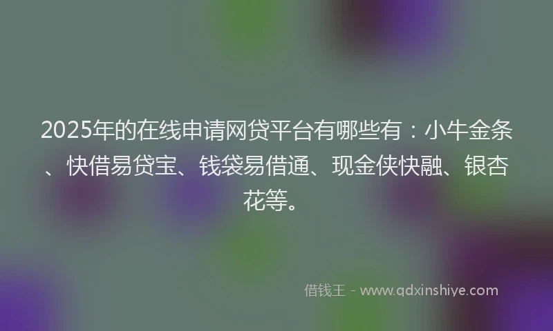 2025年的在线申请网贷平台有哪些有：小牛金条、快借易贷宝、钱袋易借通、现金侠快融、银杏花等。